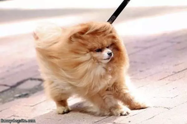 Very Windy