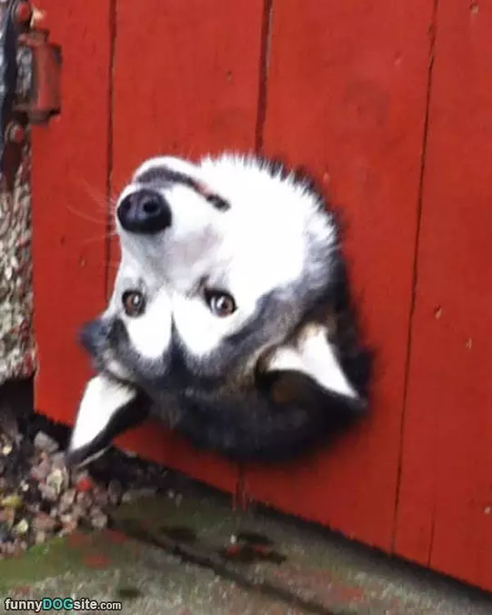 My Upside Down Peaking Hole