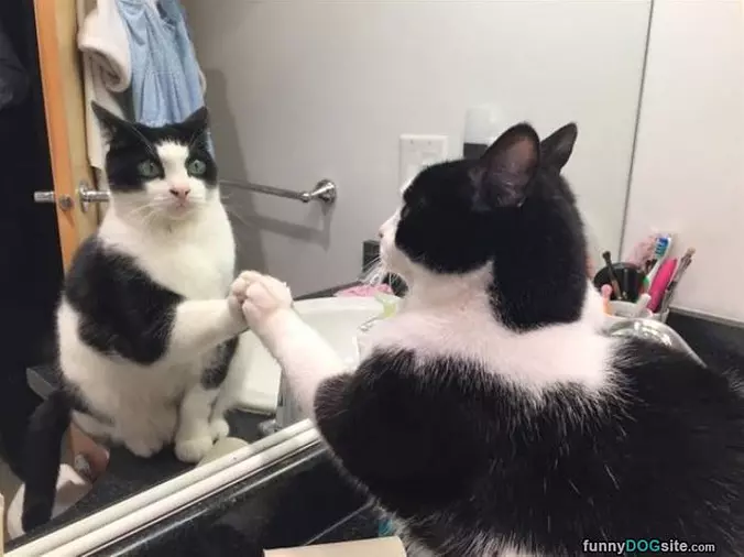 Hey There