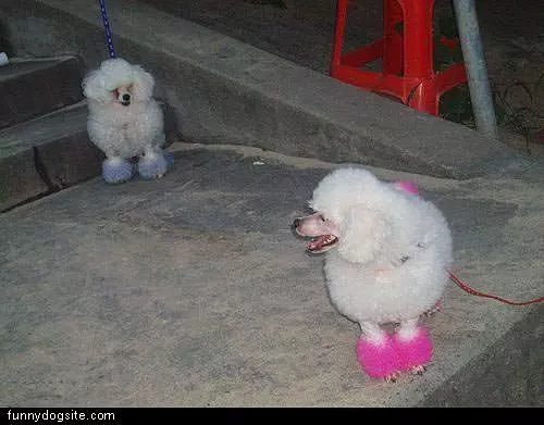 Colored Feet