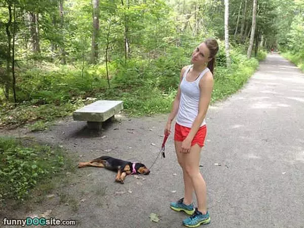 I Am Too Tired