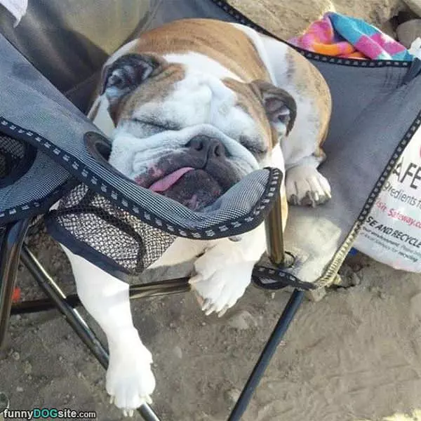 This Is My Nap Time