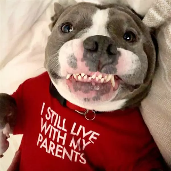 I Still Live With My Parents