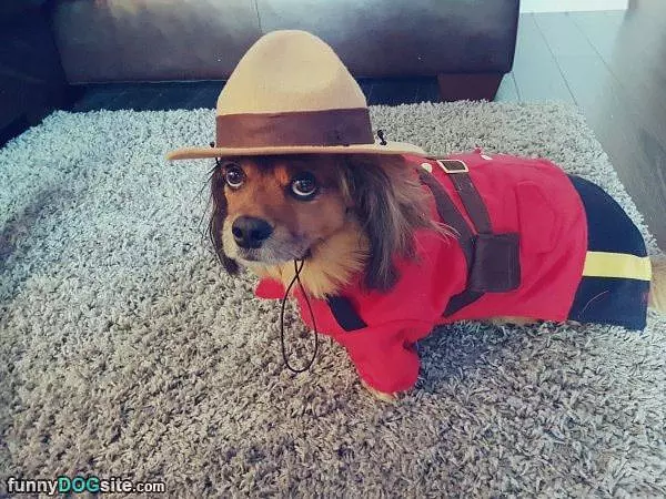 Hello There People