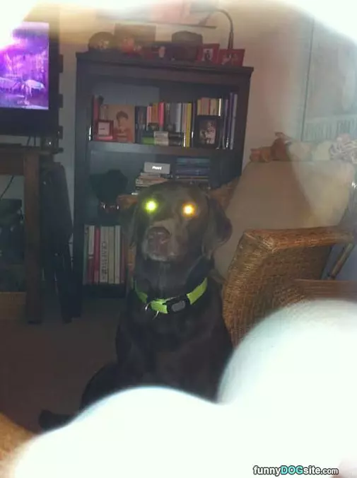 Lasers Fully Charged