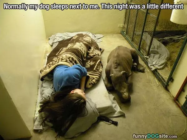 Not A Normal Night