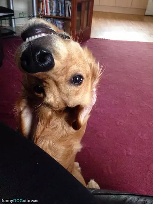 Hey You