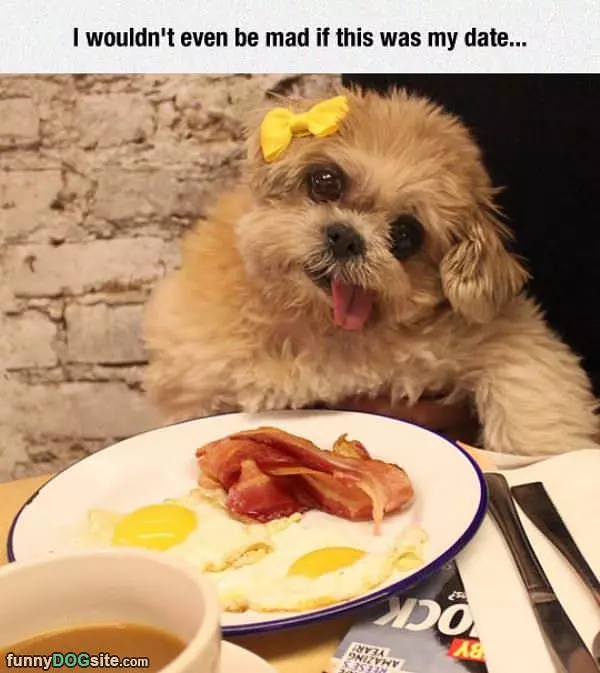 Wouldnt Even Be Mad