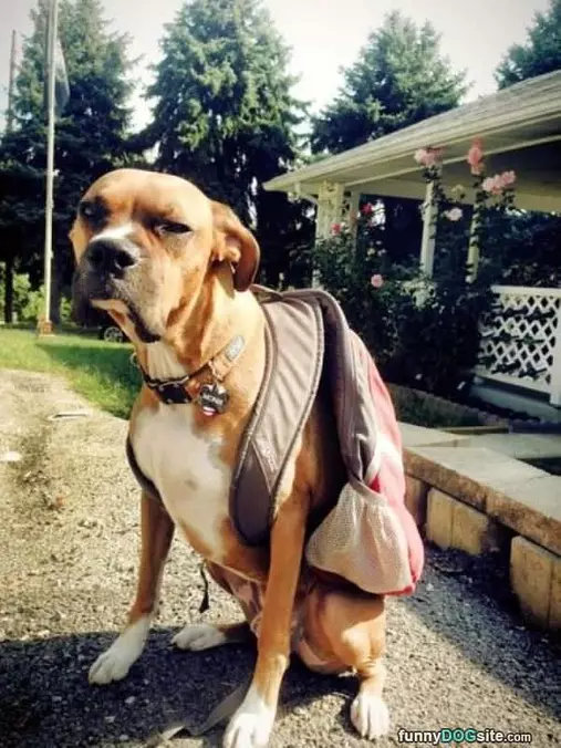 Ready For Scool