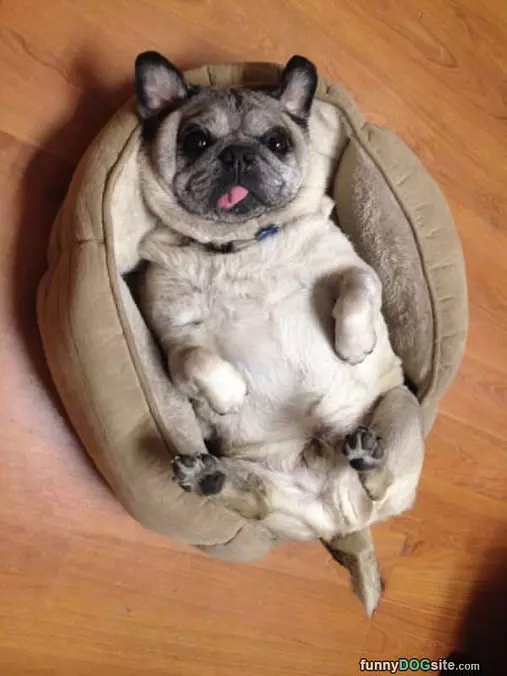 Where I Chillax