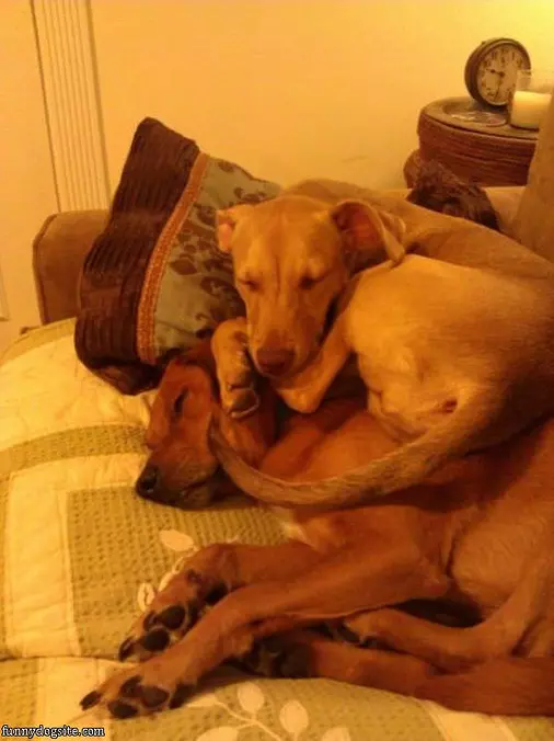 My Warm Bed
