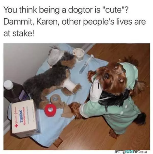 You Think This Is Cute