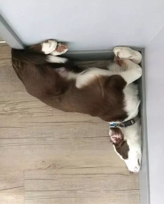 In The Corner