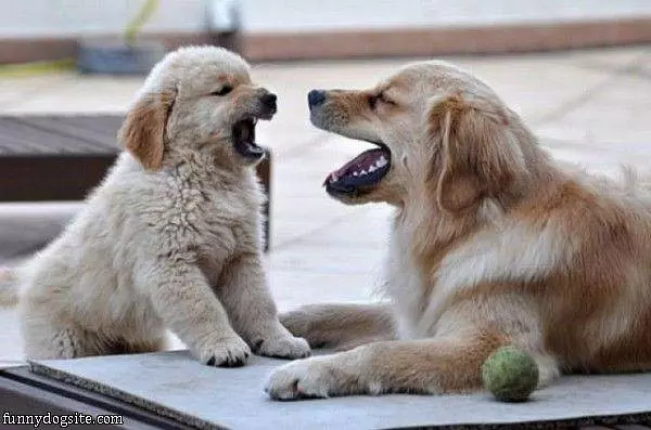 You Have Bad Breath
