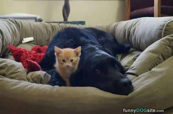 We Are The Best Of Friends