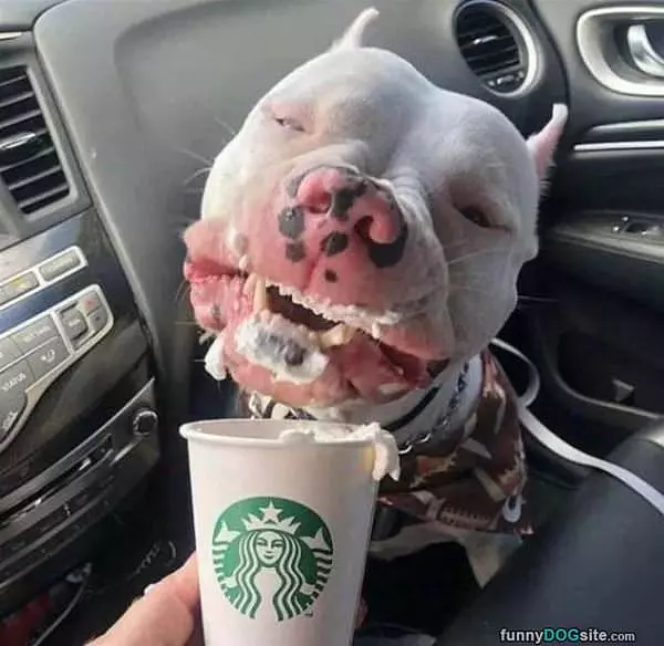 This Is Pretty Yummy