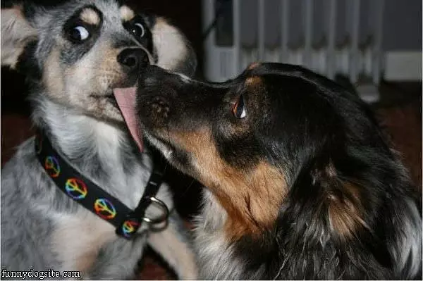 Kisses