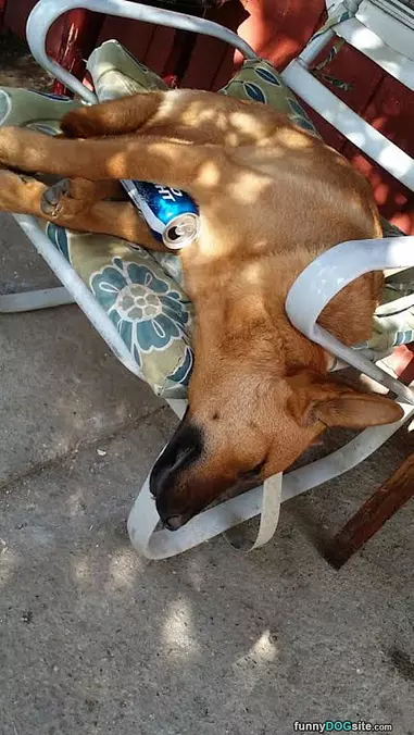 Party Animal