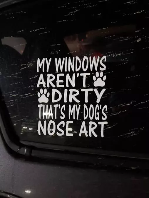 My Dogs Nose Art