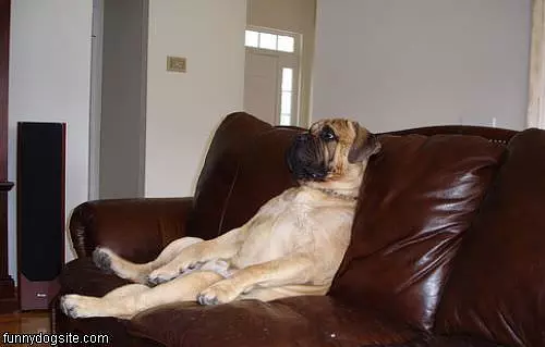 Chillaxin