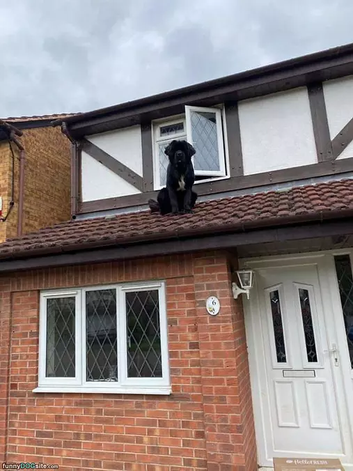 On The Roof