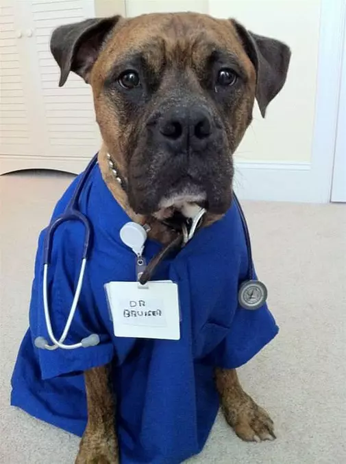 The Dr Is In