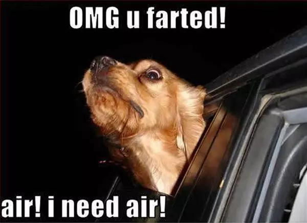 Omg I Need Air