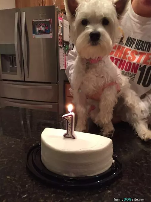 My Big Birthday
