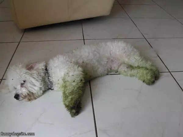 Grass Stains