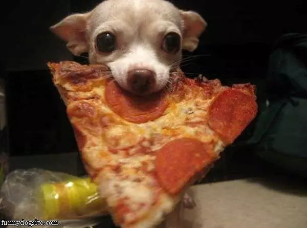 Thanks For The Pizza