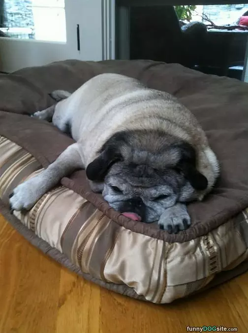 I Am Pooped Out