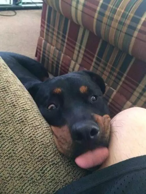 Snack Please