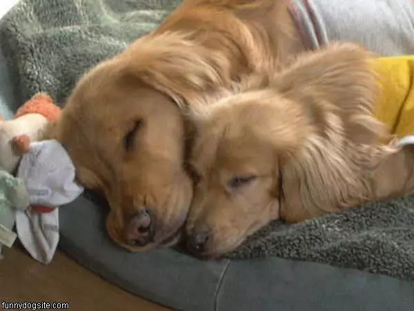 Its Be Nap Time