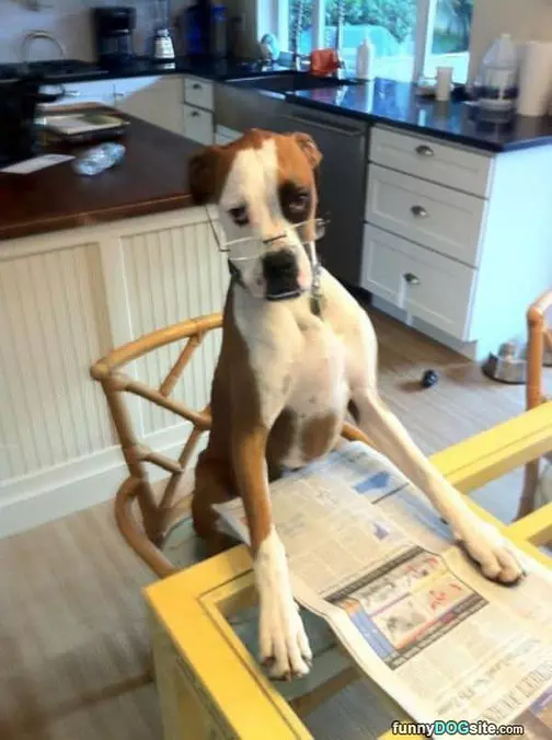 Sit Down This Is Serious