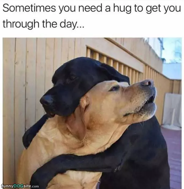 Sometimes You Need A Hug