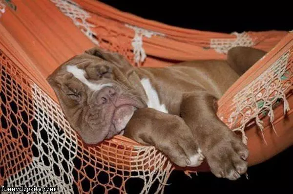 My Comfy Place