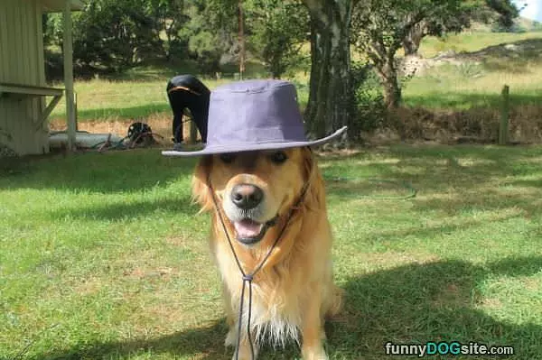 Nice Hat Buddy