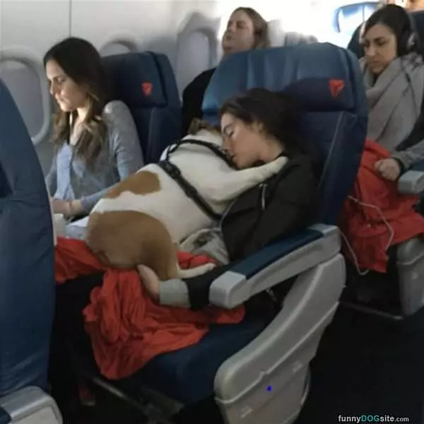 On The Plane