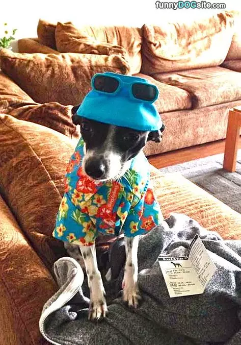 Can We Go To The Beach
