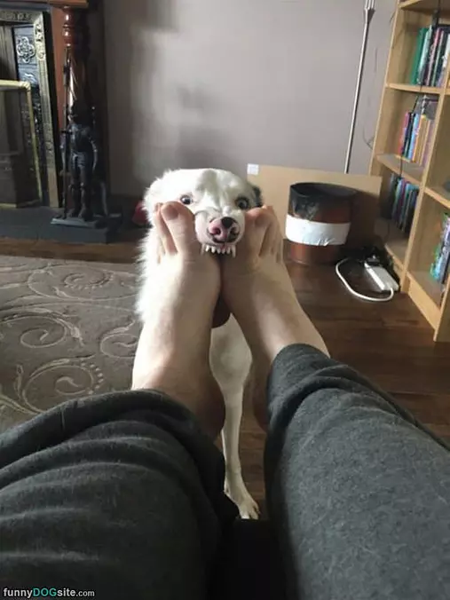 Nommmmm Nom Nom Nom