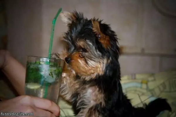 I Want Some