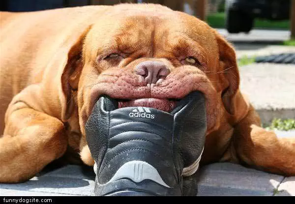 Smile Big