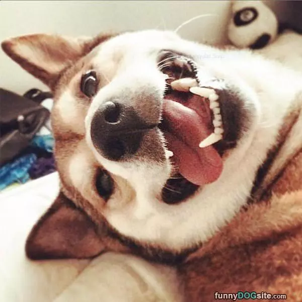 Wasupppppp