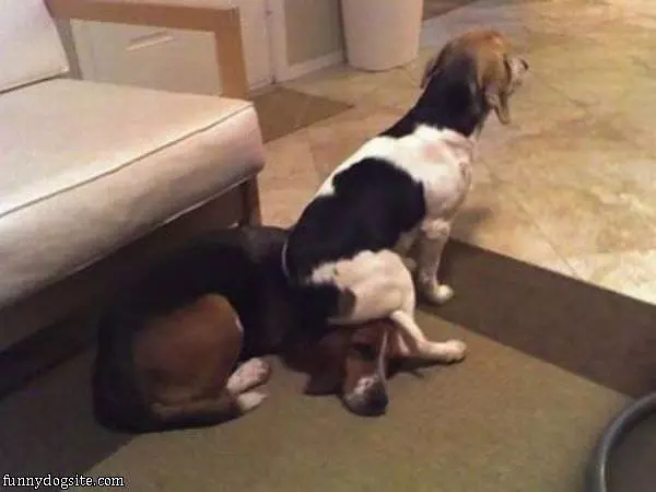 Have A Seat