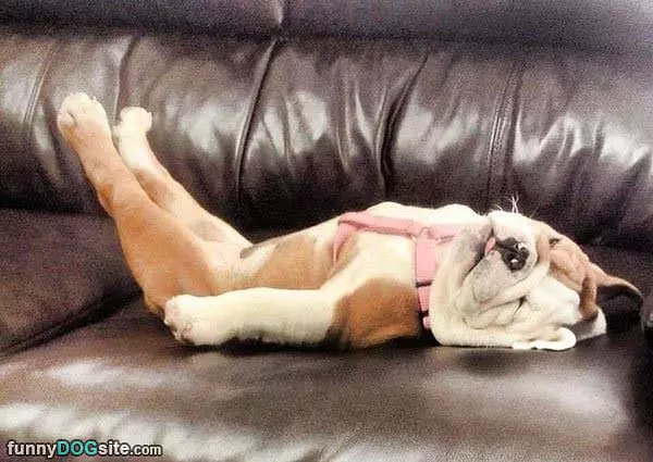 Soooooo Sleepy