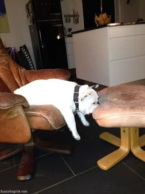 Too Lazy To Move