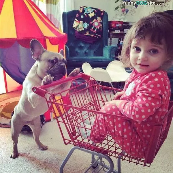 Going Shopping