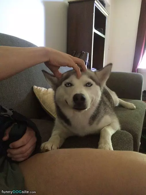 Yes Rub My Head