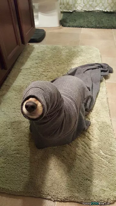 I Am A Burrito