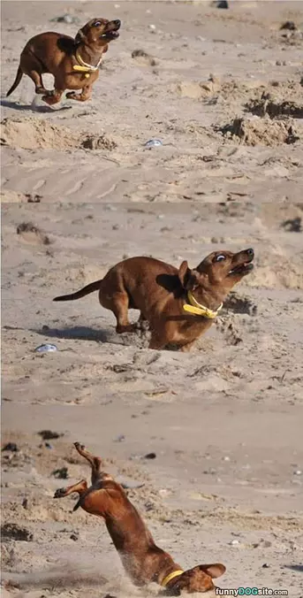 Faster Faster